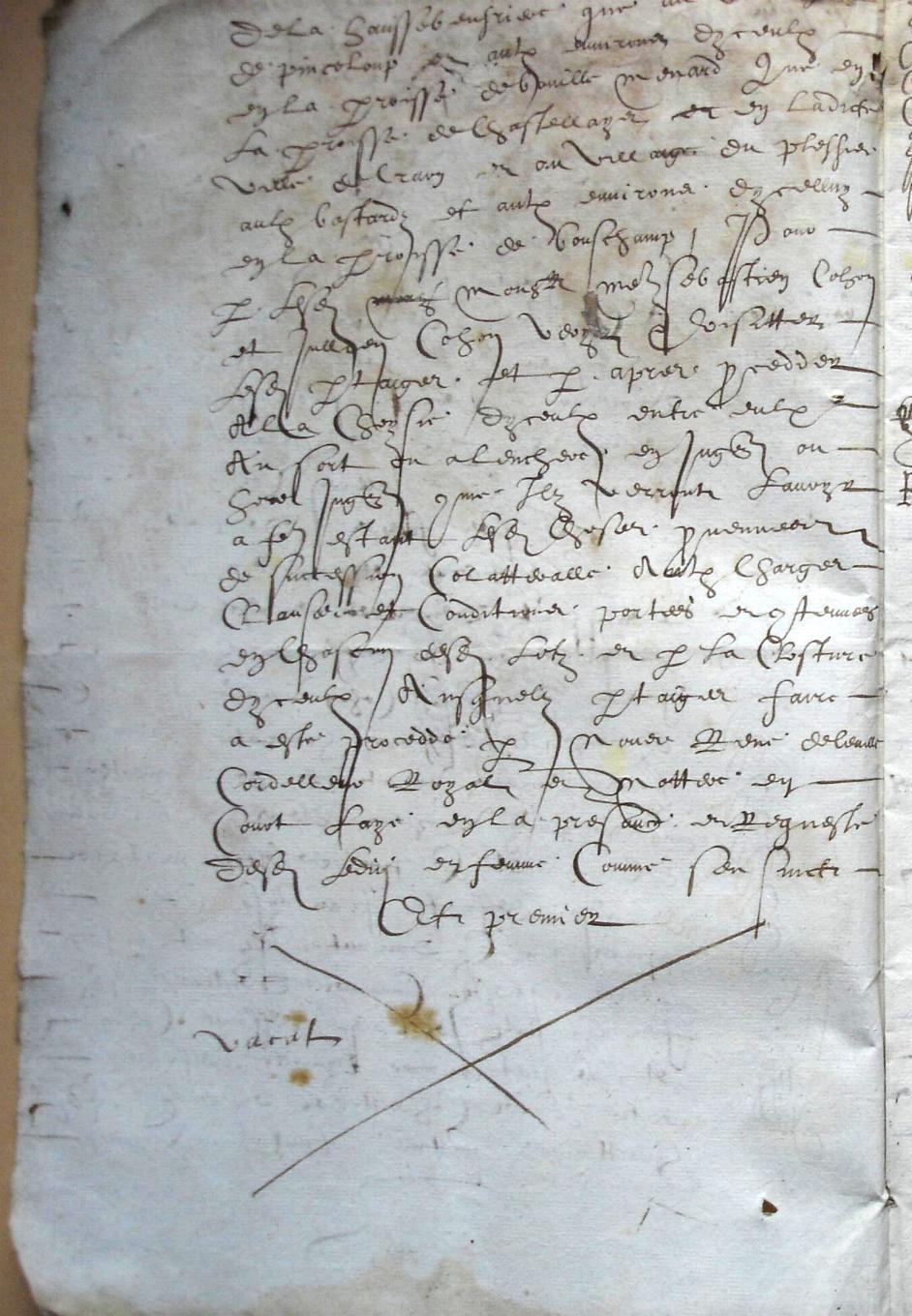 Cohon-F_1619 (2).JPG